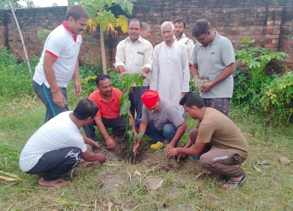importance of ayurveda by planting trees