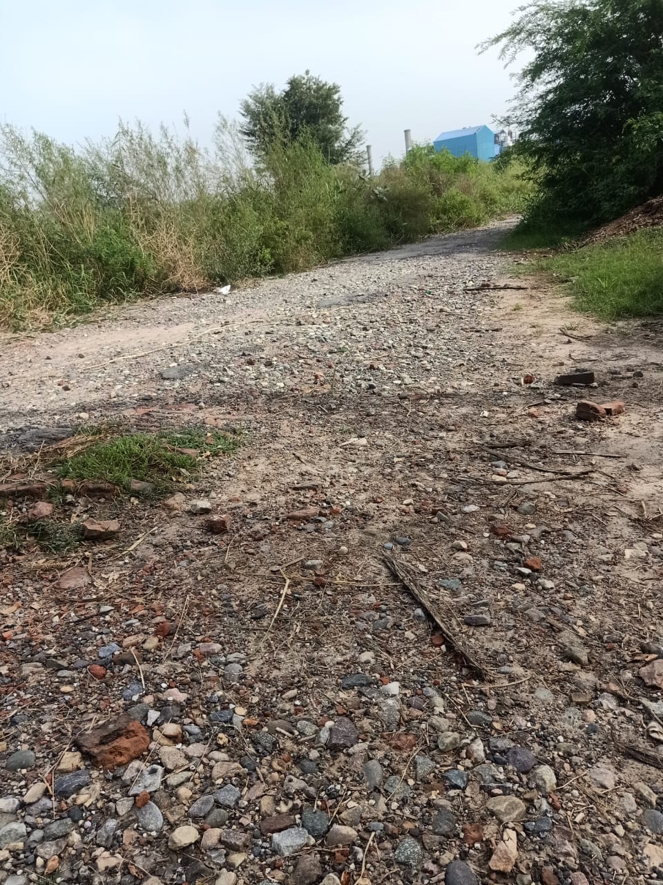 Trouble due to bad roads of the area