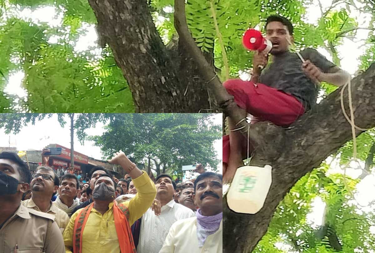 Unnao: MLA and municipal chairman accused of corruption, youth climb on tree, threatening to set fire