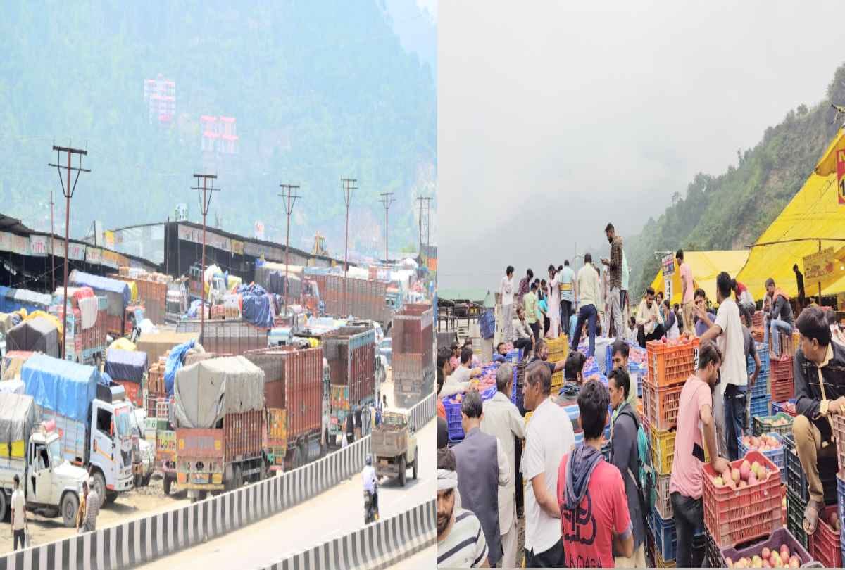 Inflow of apples decreased by 30 percent in Kullu mandis, prices fell by up to Rs 300 a box in Solan