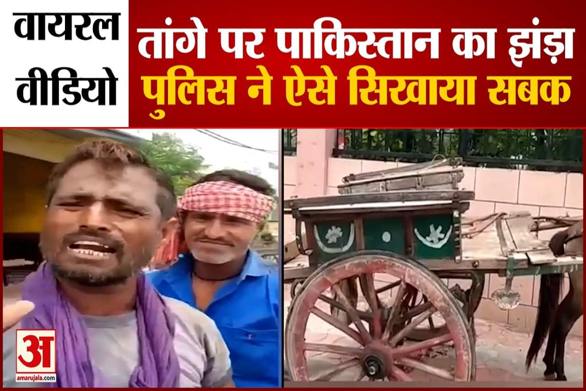 वायरल वीडियो