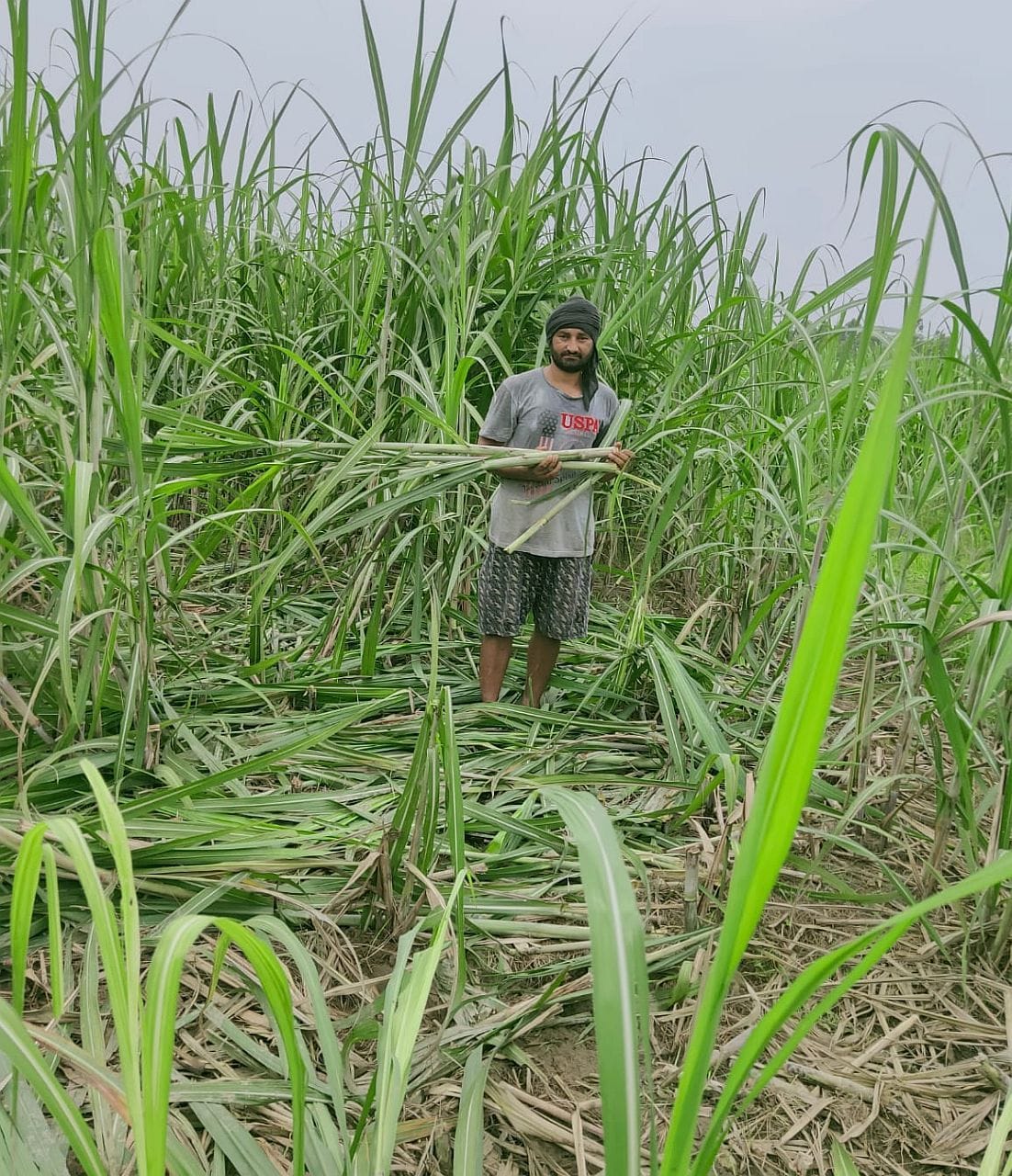 Villagers give letter.
