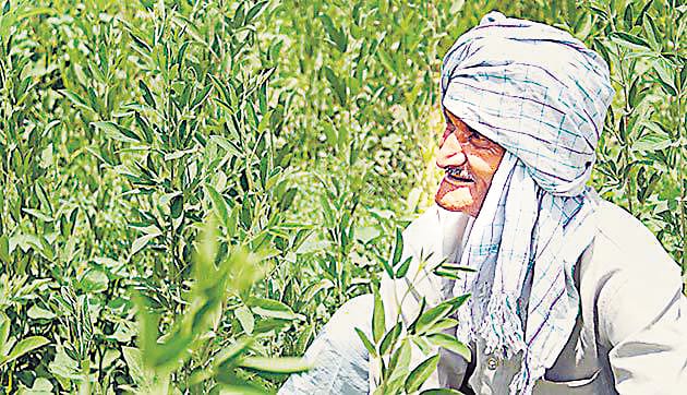 crop survillance for crop security
