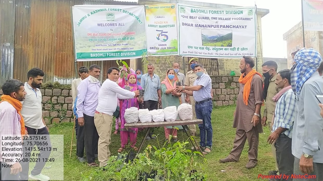 Plantation drive