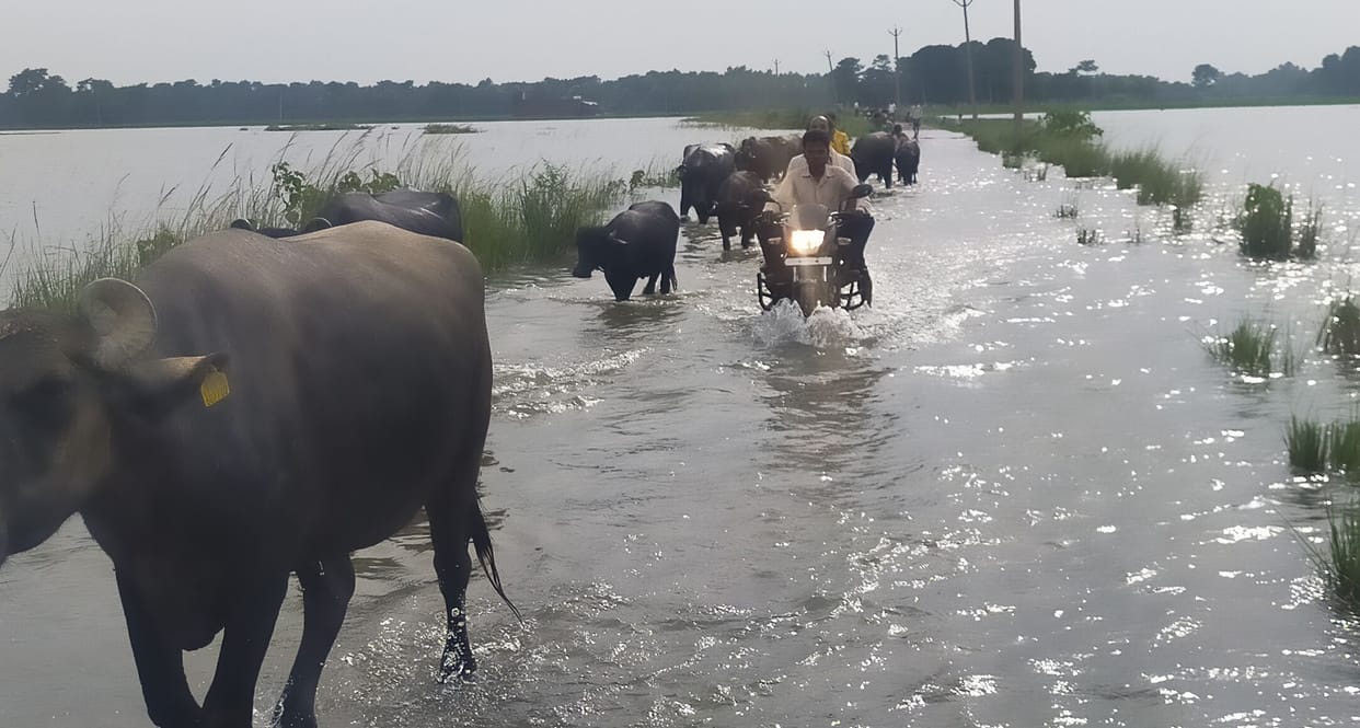 205 villages affected by flood in the district, 44 marooned