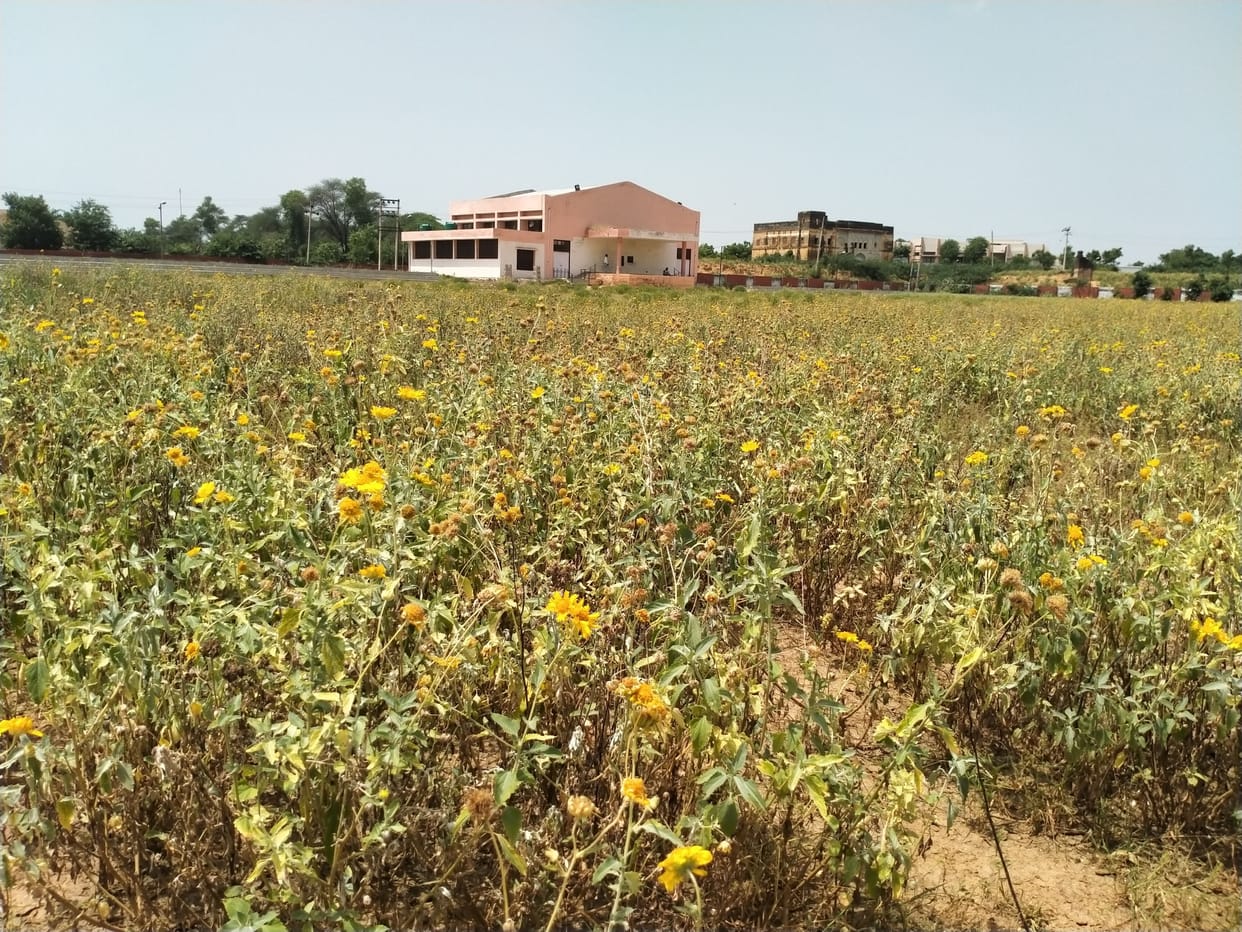 Lack of basic sports facilities