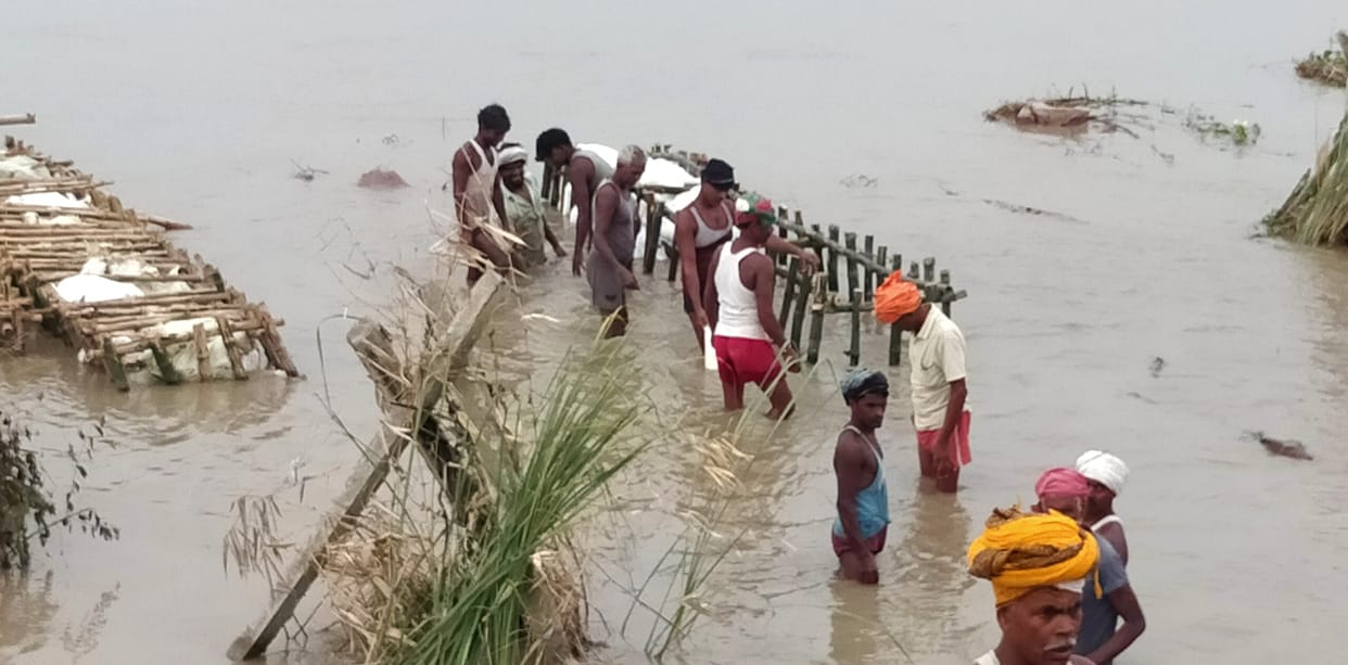 Water level continues to decrease, intermittent harvesting is happening