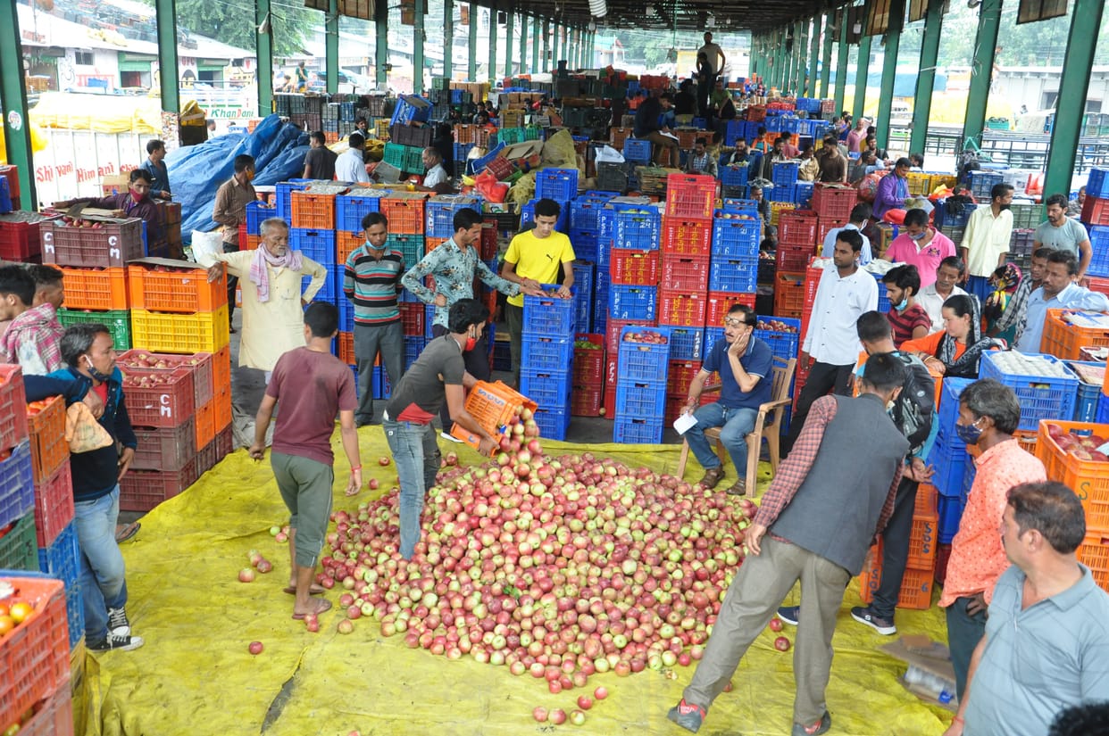 Most apples reached Khegsu Mandi