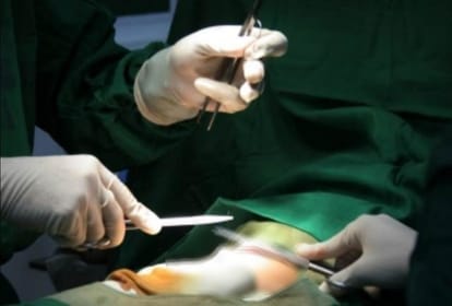 Noida relative of patient accused fortis hospital doing heart surgery in place of hip fracture treatment died