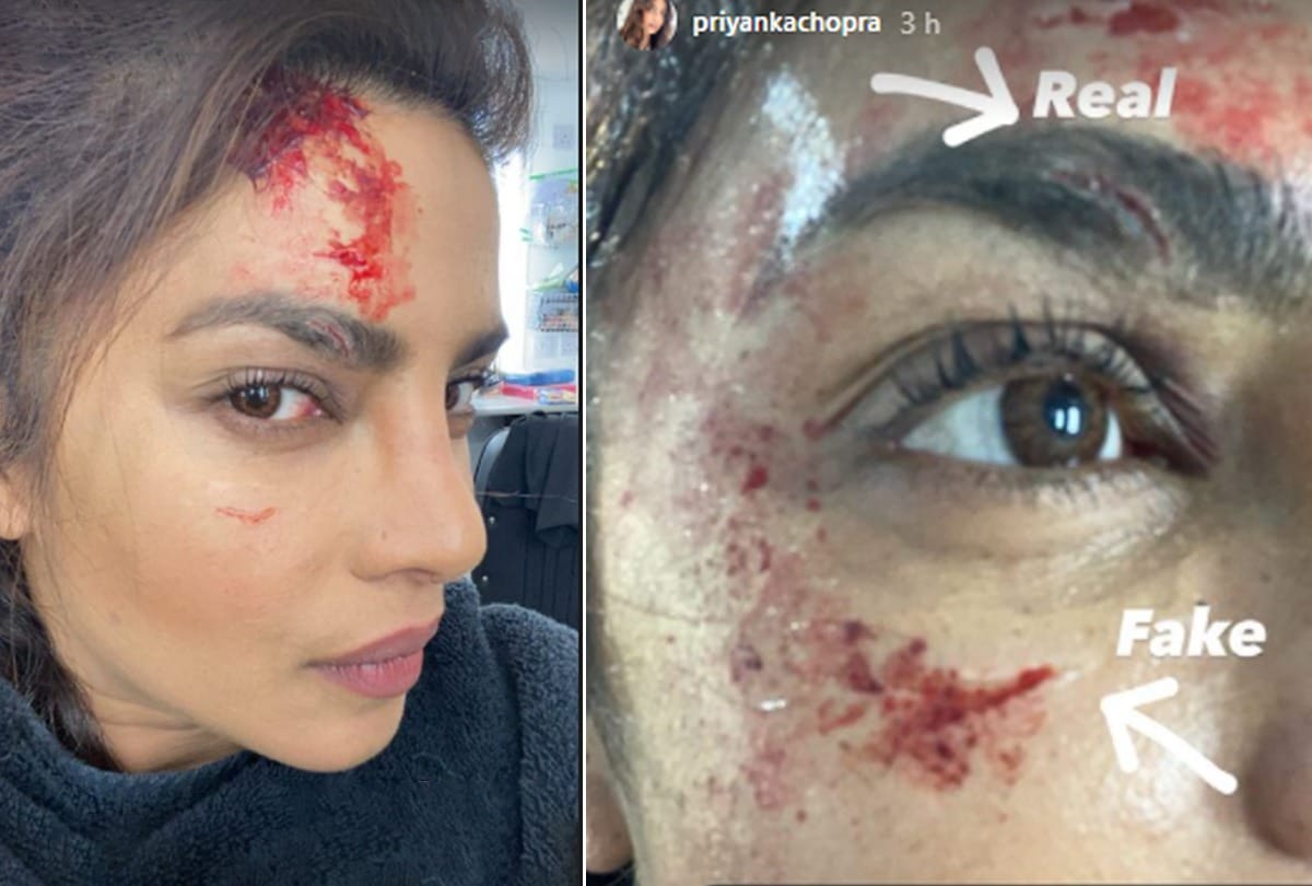 top 5 news: gaurav dixit arrested by ncb and priyanka chopra gets hurt