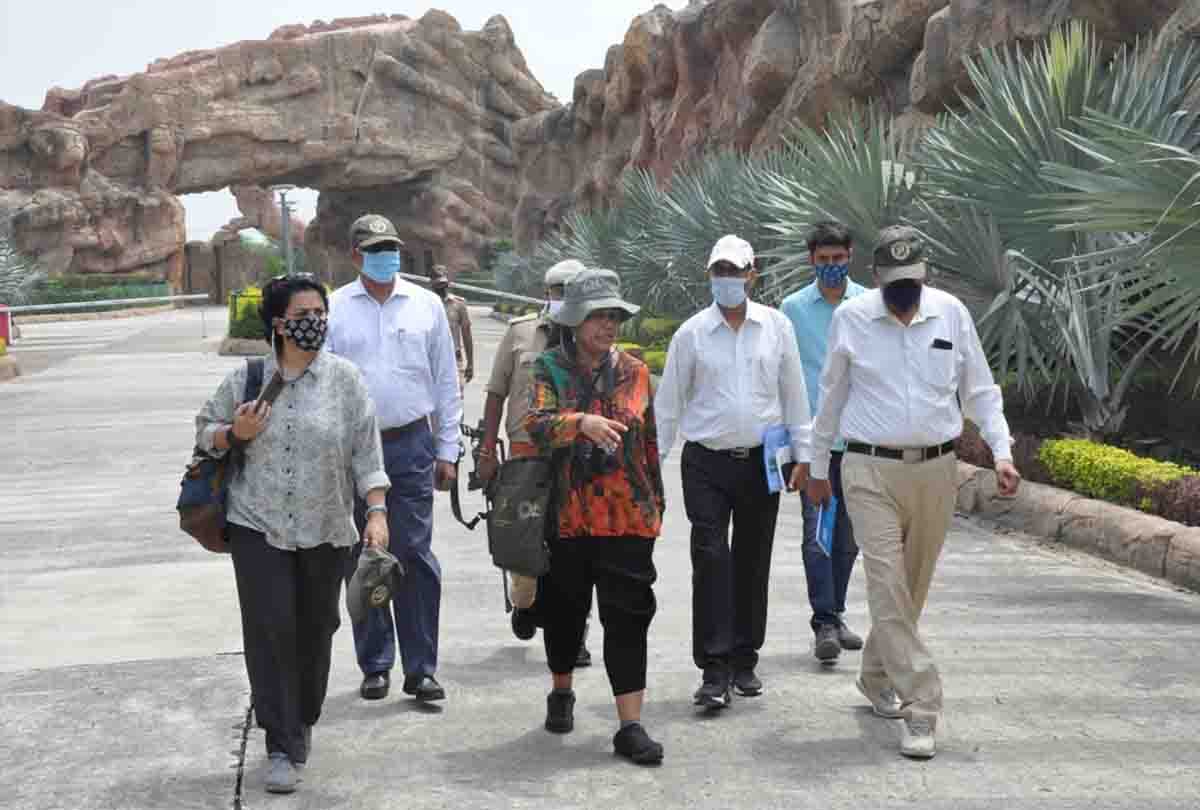 Preparation intensified to open Lion Safari etawah