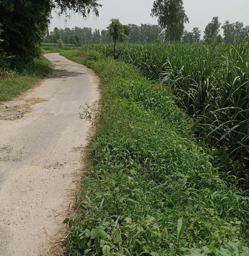 Road encroachment hindered the track of youth