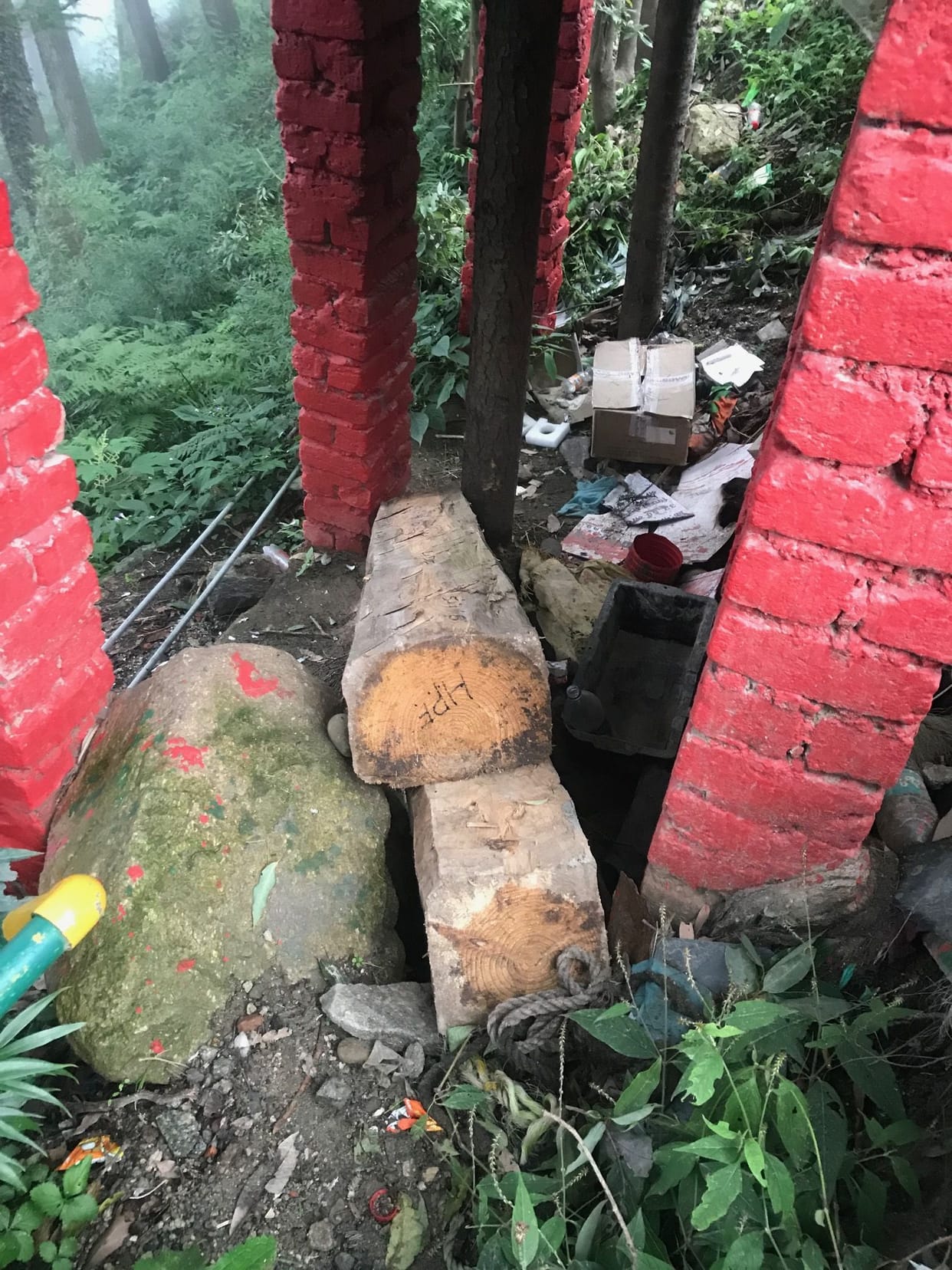 Illegal wood kept hidden in bushes recovered