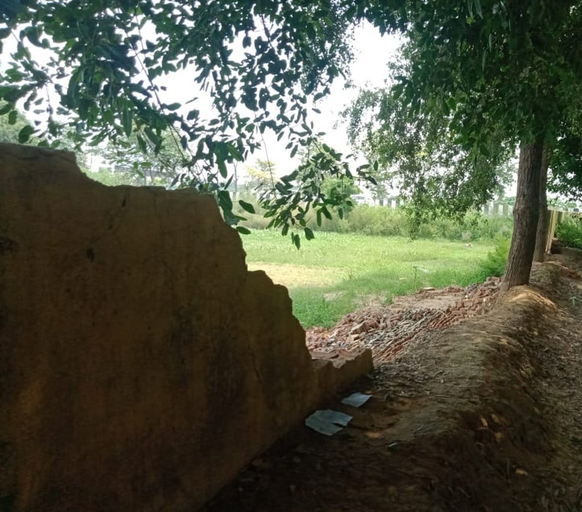 How will the future of the country be educated, the bad condition of the school
