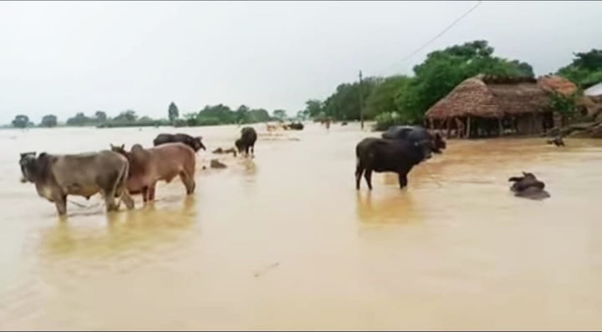 The houses of 10 families were washed away in the floods of Kharjhar drain.