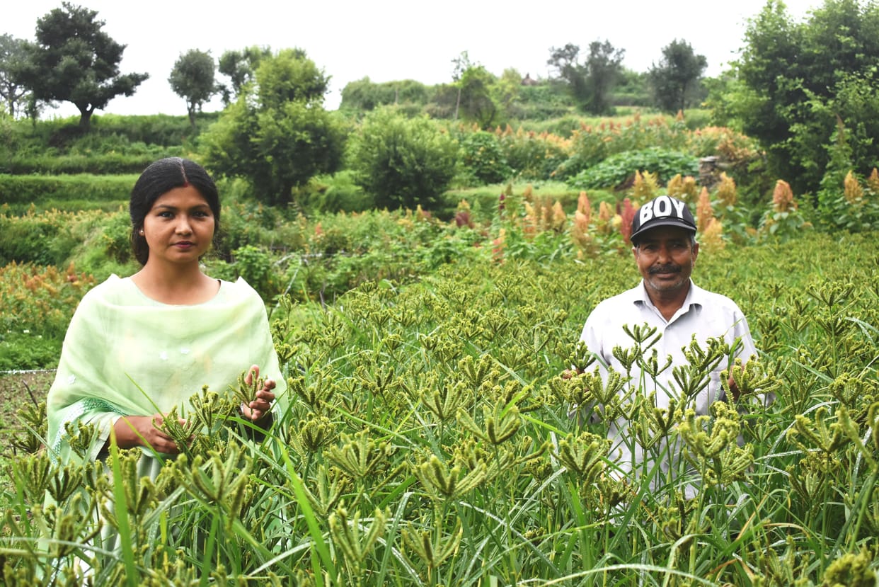 Jhangor, Manduwa and Kauni are easy to grow