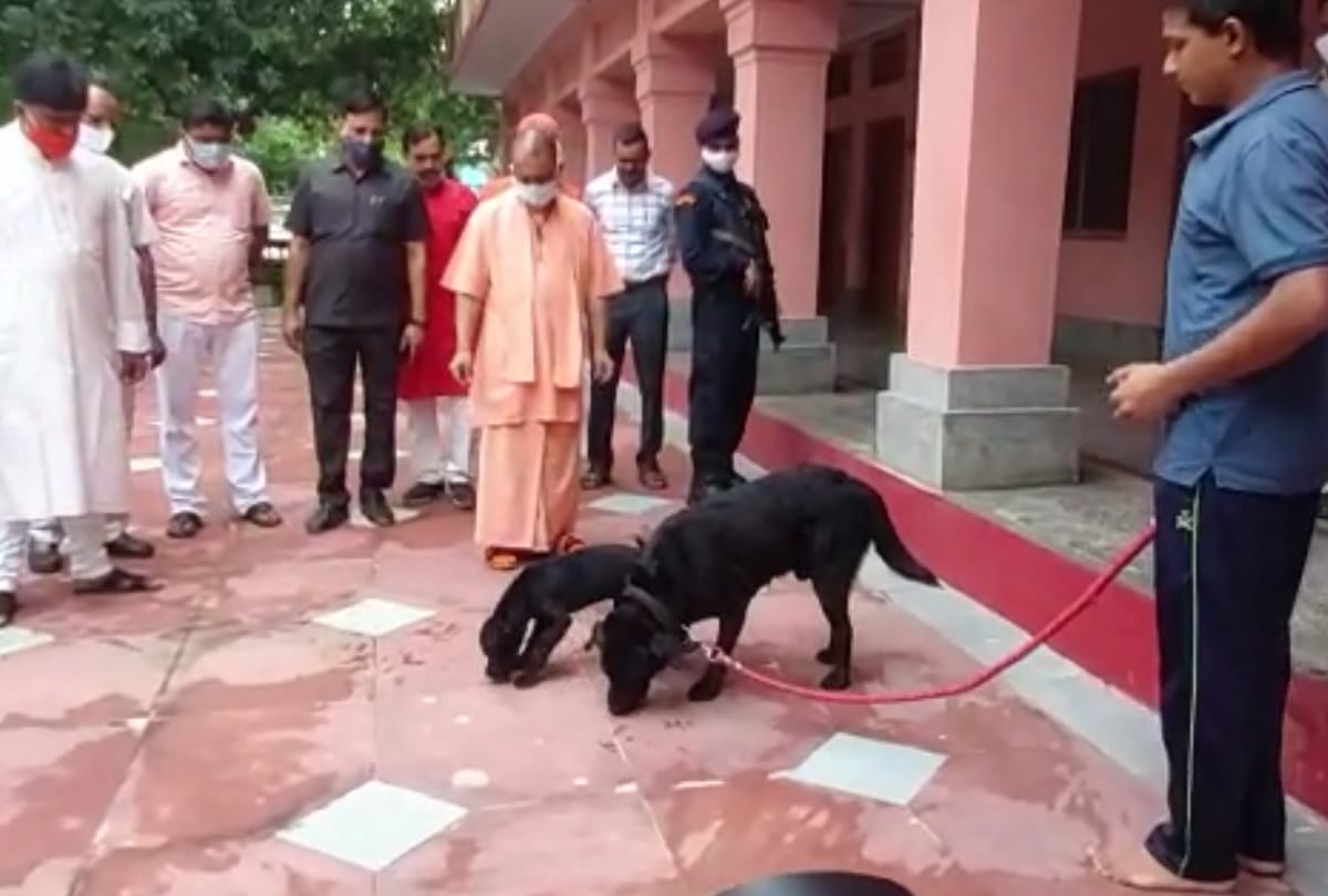 CM Yogi Adityanath performed Rudrabhishek in Gorakhnath temple