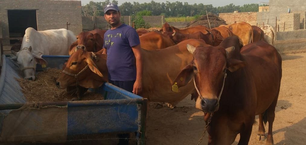 Two brothers earning 30 lakh rupees annually by starting a business of selling milk