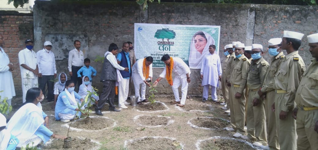 Plant my tree with the determination of my responsibility