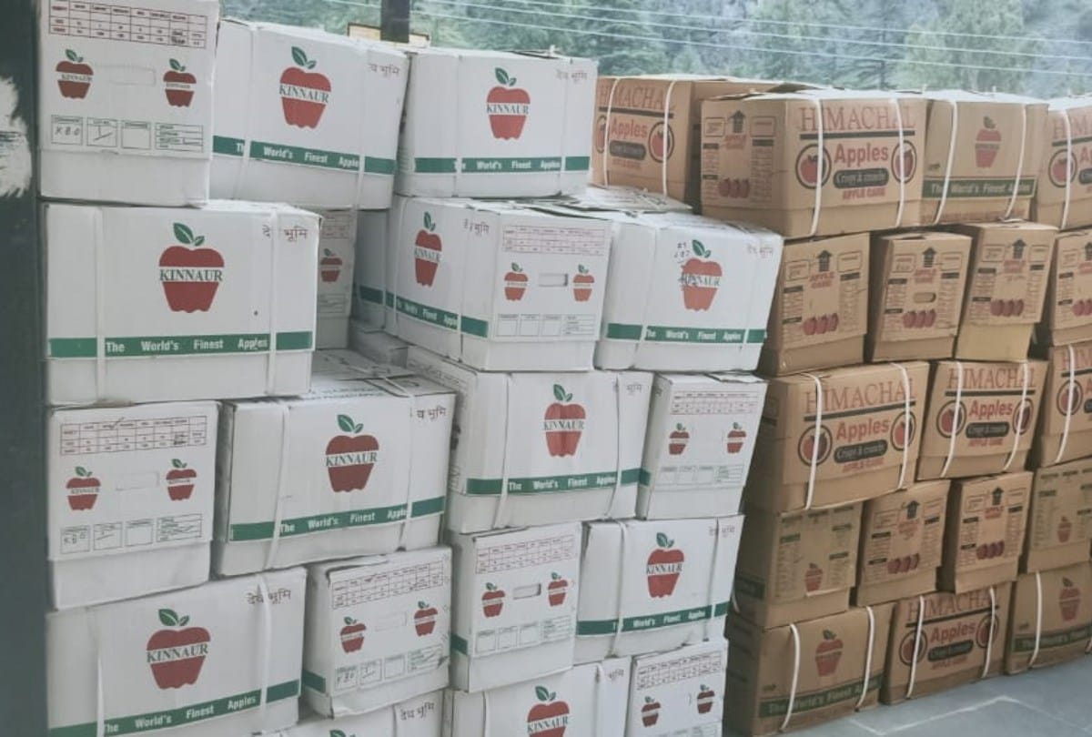 Himachal News: kinnaur apple reached in mandis farmers not getting good price