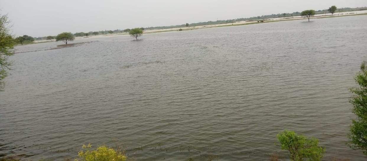 rapti 25 cm above from dnger level