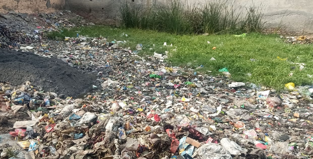 Water accumulated in the vacant plots of the city is becoming the reason for dengue and malaria