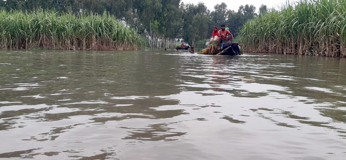 One lakh cusecs of water was released into the Ganga from Bijnor barrage, crops of many villages submerged