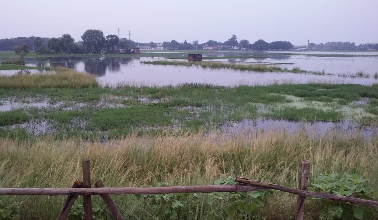 150 acres of crops submerged due to lack of drainage