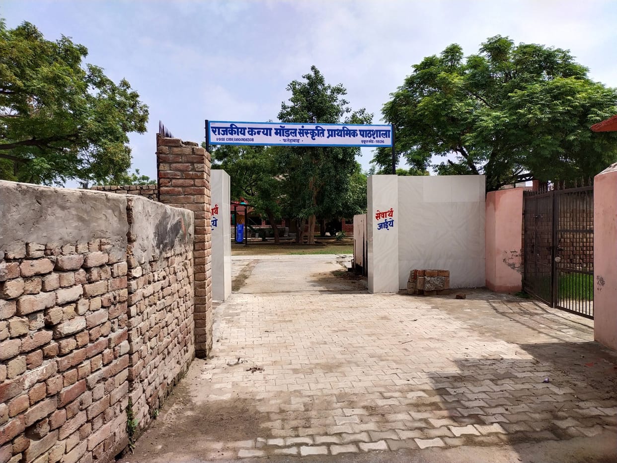 Primary schools will open from tomorrow, 50 percent students will be allowed to come