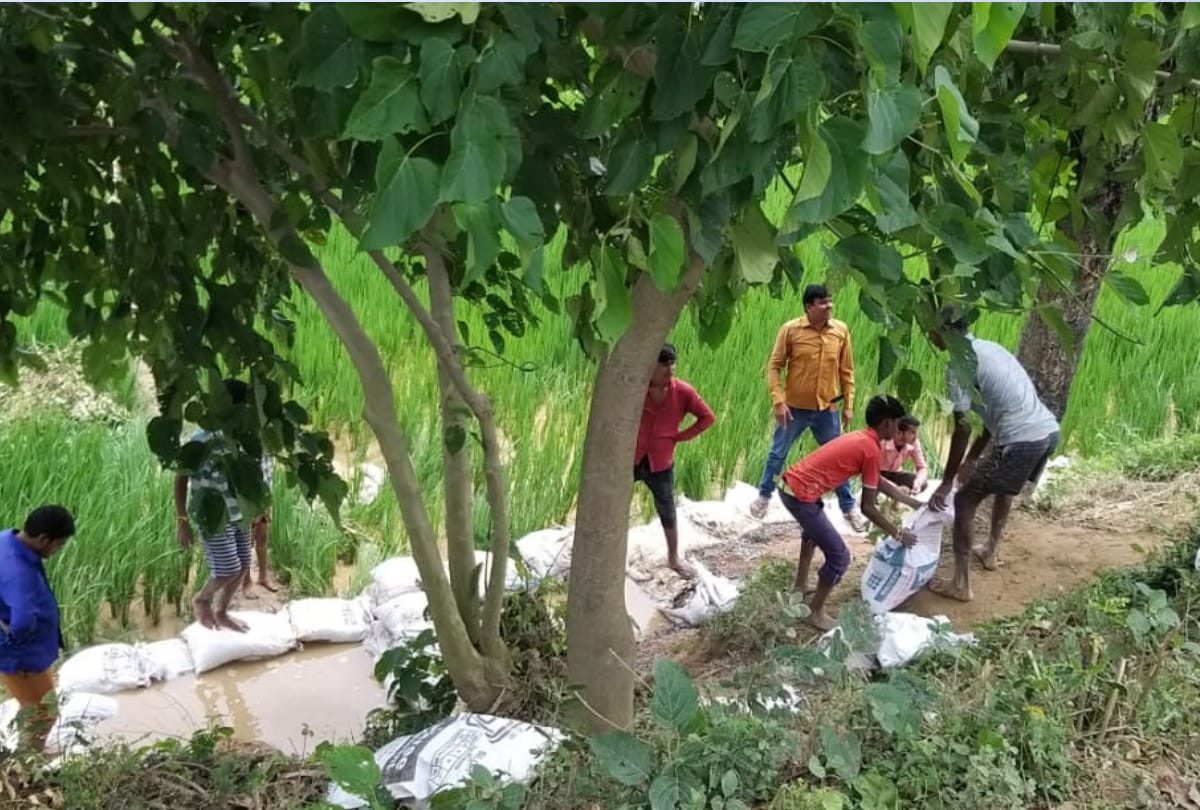 Flood in Siddharthnagar due to increased water level of rapti and budhi rapti danger