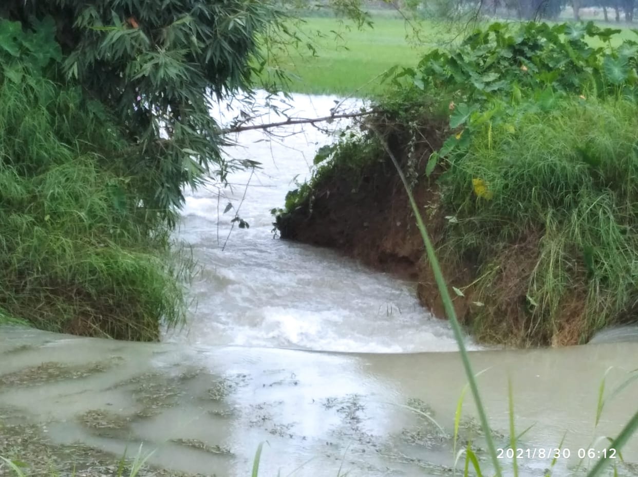 Water entered many villages due to sharada canal break in azamgarh hundreds of acres of crops submerged farmers angry