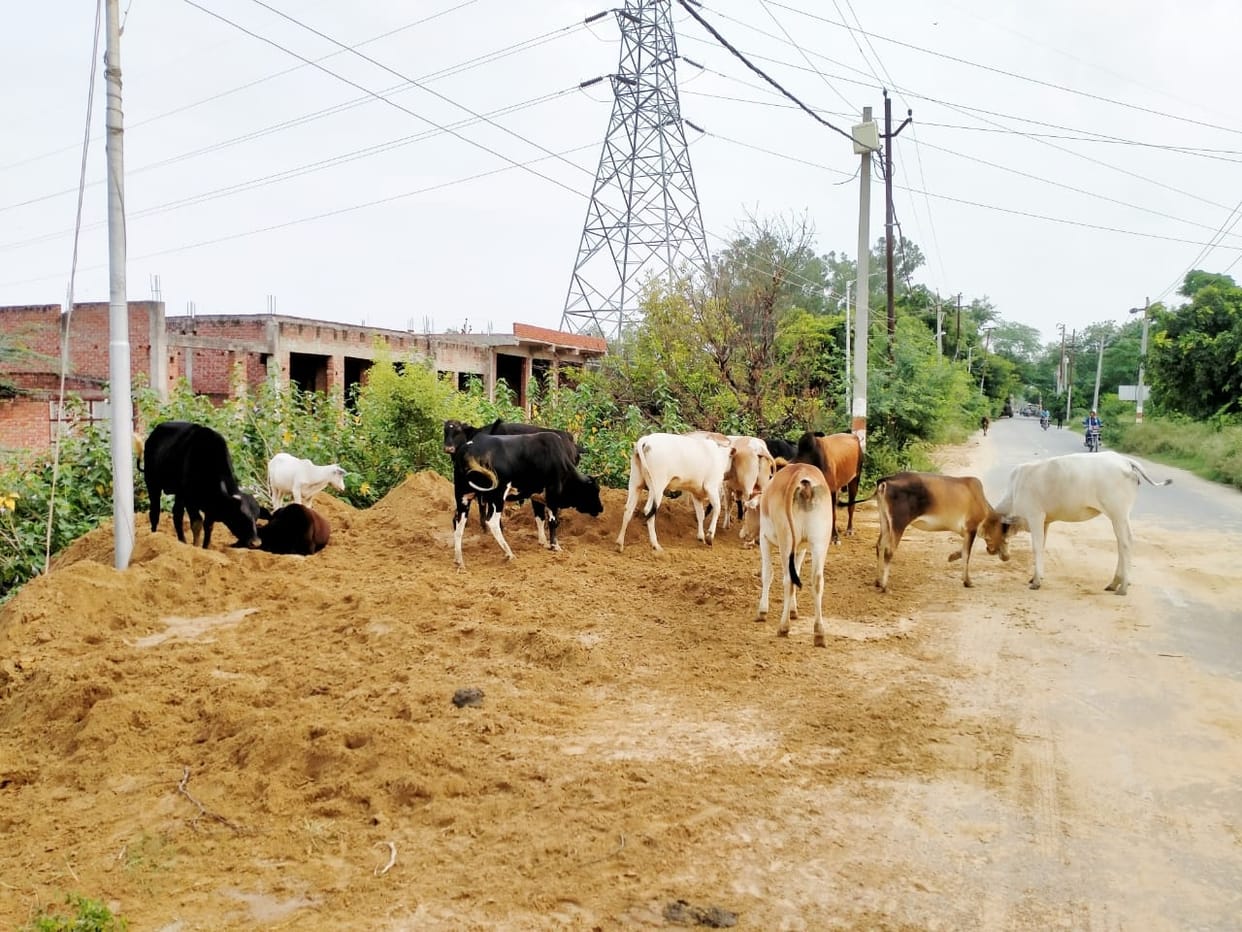 kannauj news