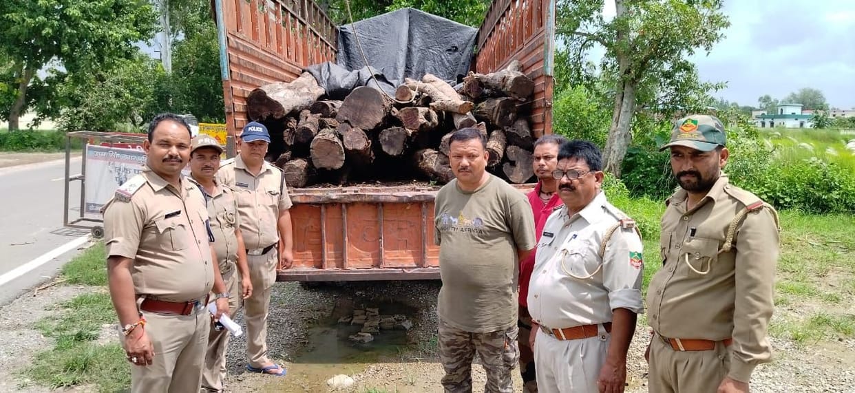 Illegal Timber Seized