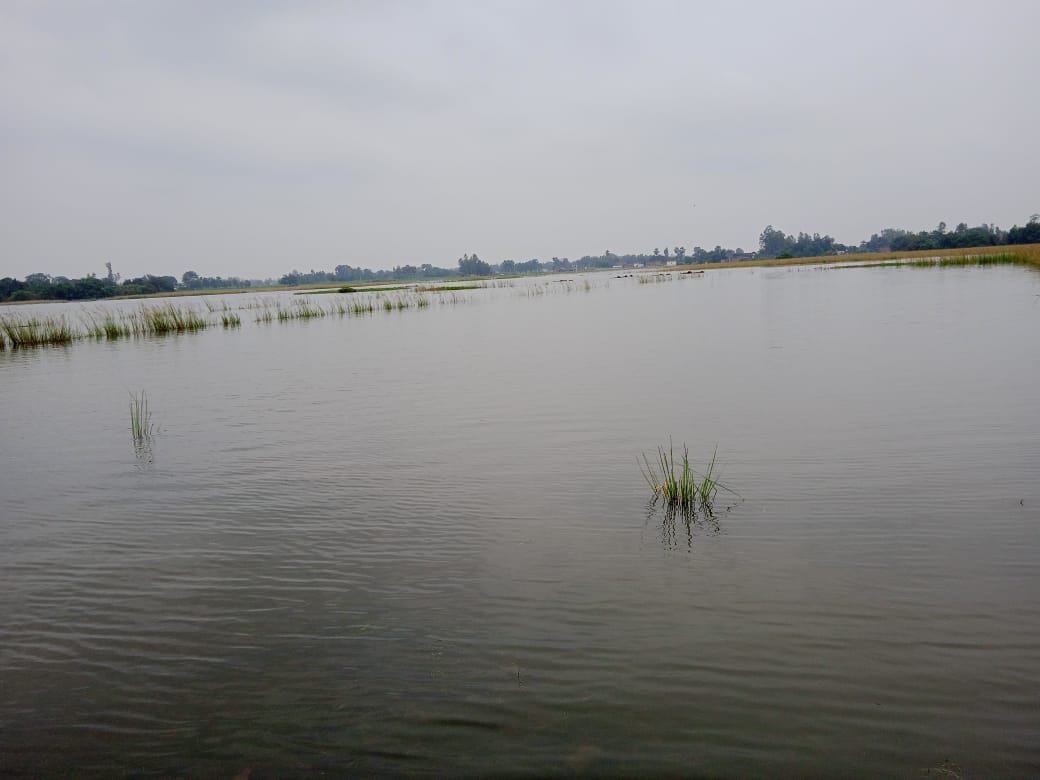 saryu river water level increase