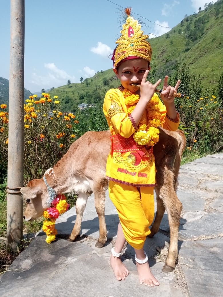 Janmashtami celebrations, queues in the temple