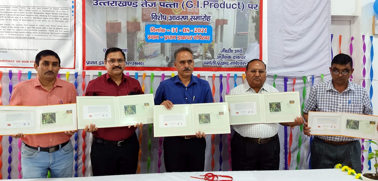 Now Tejpatta will become the identity of Uttarakhand