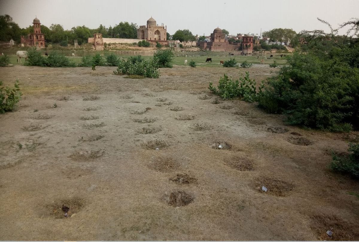 reality check of plantation in Agra district