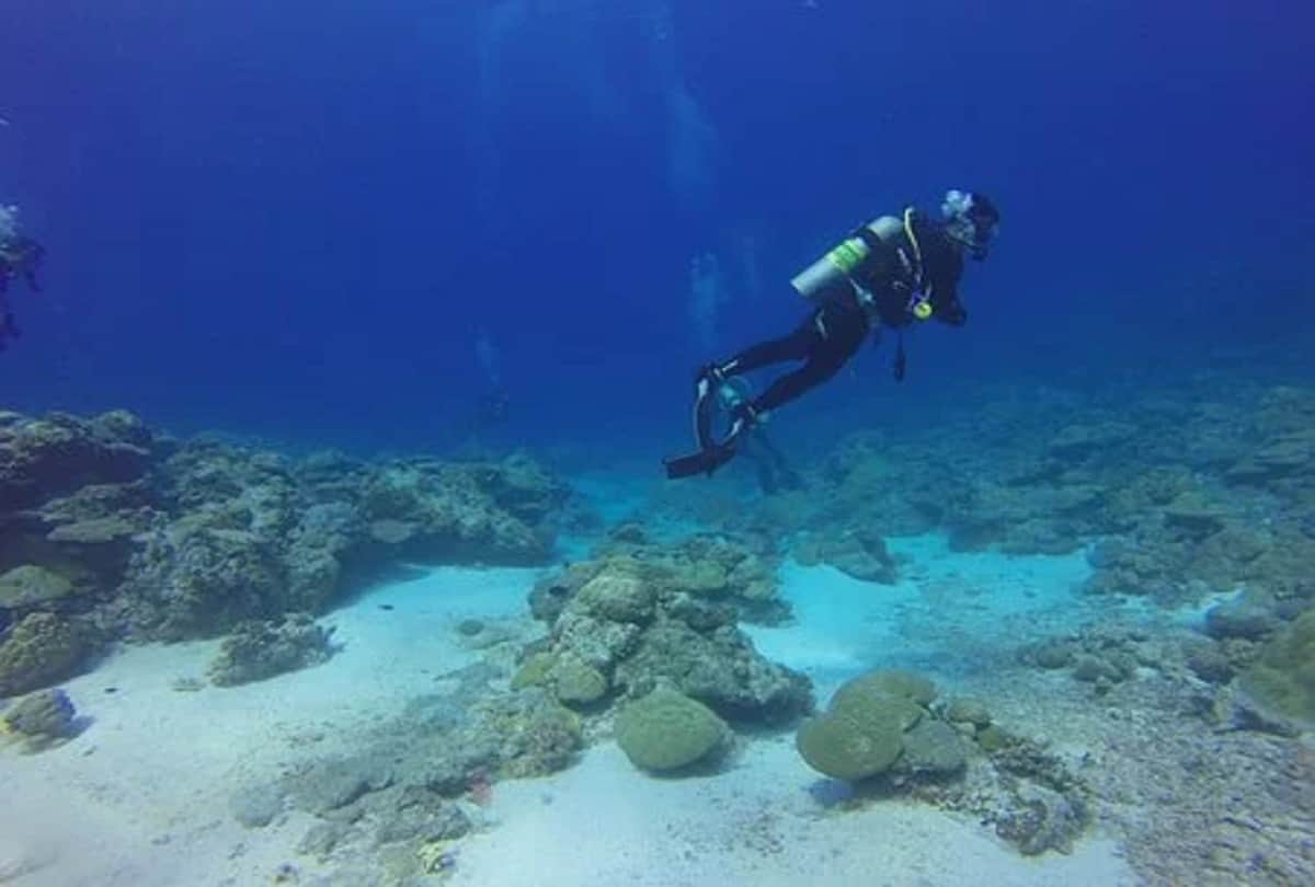 Most beautiful tourist place in India Andaman beautiful island surrounded by natural scenery