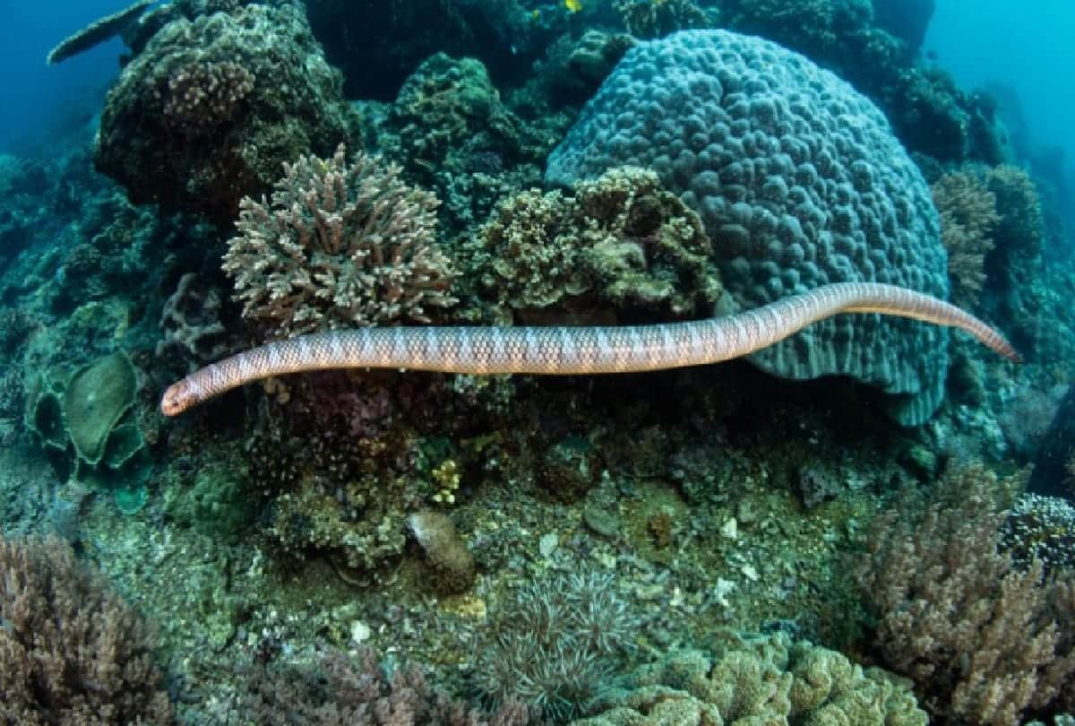 how human activities affect the environment, know what expert warns