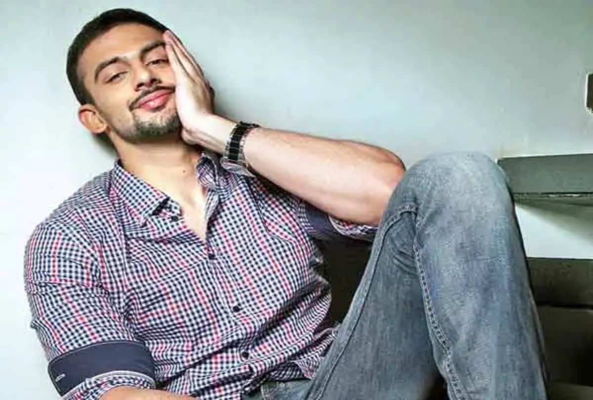 Actors belongs to political family sharvari wagh, aayush sharma, riteish deshmukh