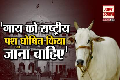 allahabad high court orders to make cow a national animal directs center to make law