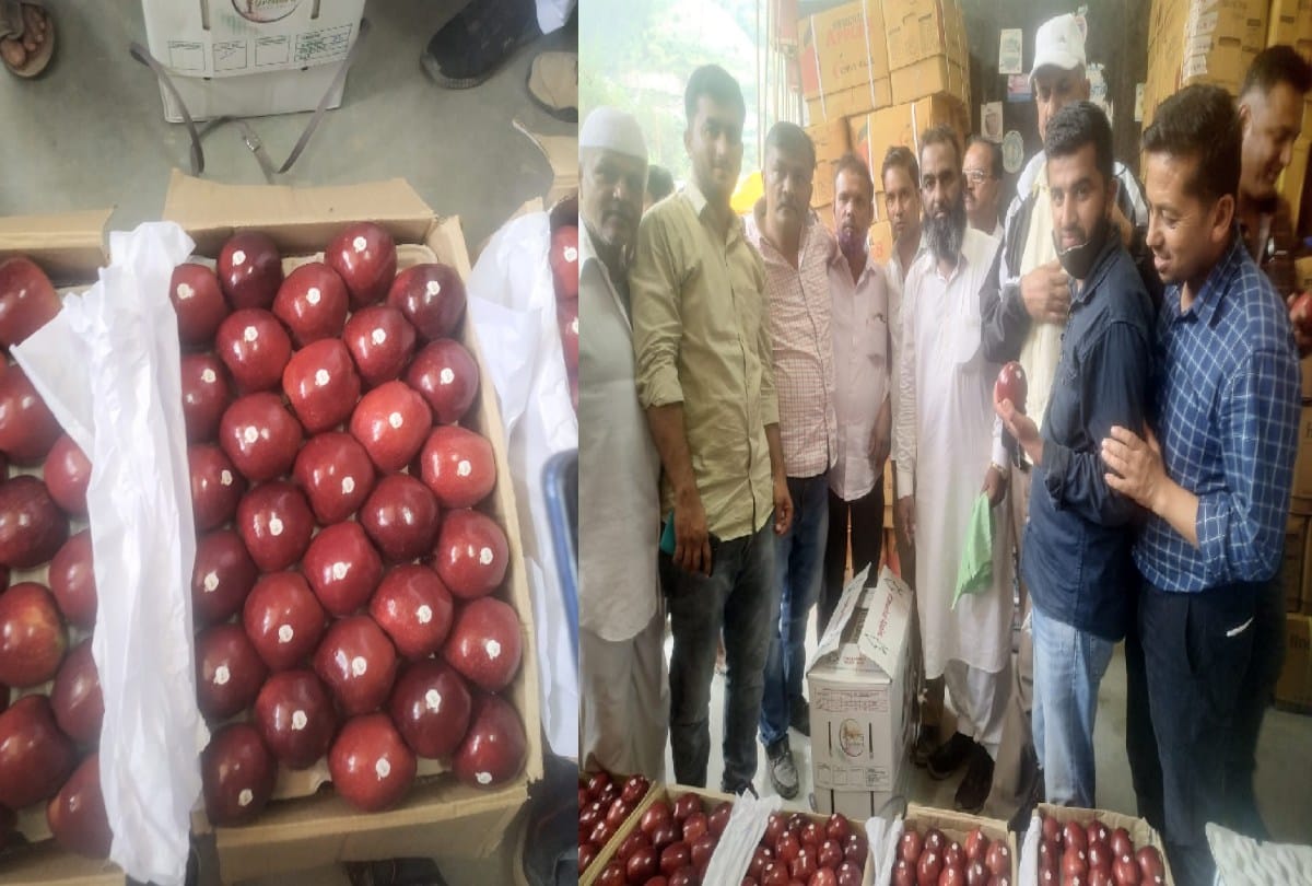 Amidst the crisis on purchase the apple of the APS Variety sold for Rs 140 a kg in shimla parala mandi
