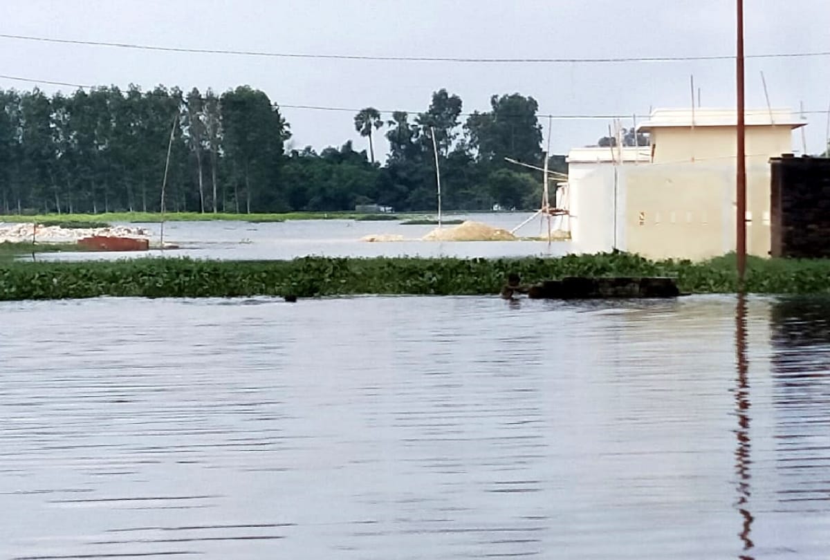 Flood of Gorakhpur: Leaking from dams at 11 places due to Rapti and Rohin rivers overflow