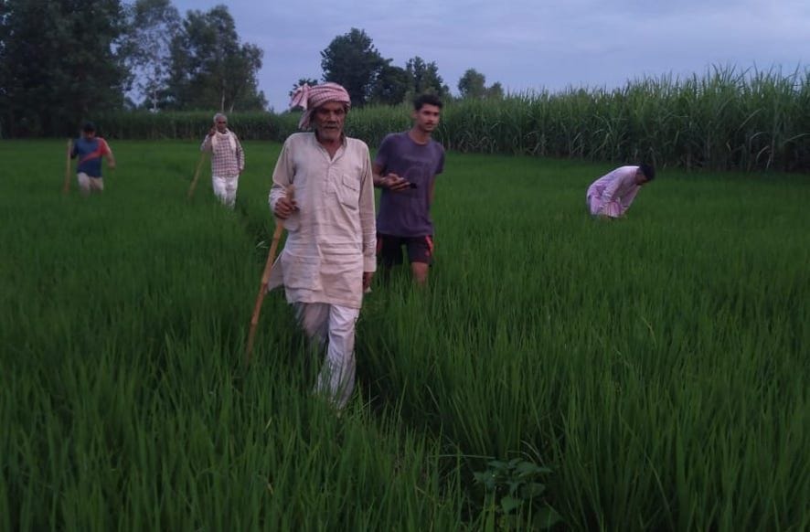 Panic after seeing Guldar in Saifabad