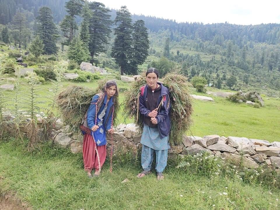 Even after 74 years, 50 villages of Banjar region could not be connected by road, Even after independence, most of the problems in Sainj and Tirthan Valley, People forced to carry fruits and vegetables along with food items on their backs