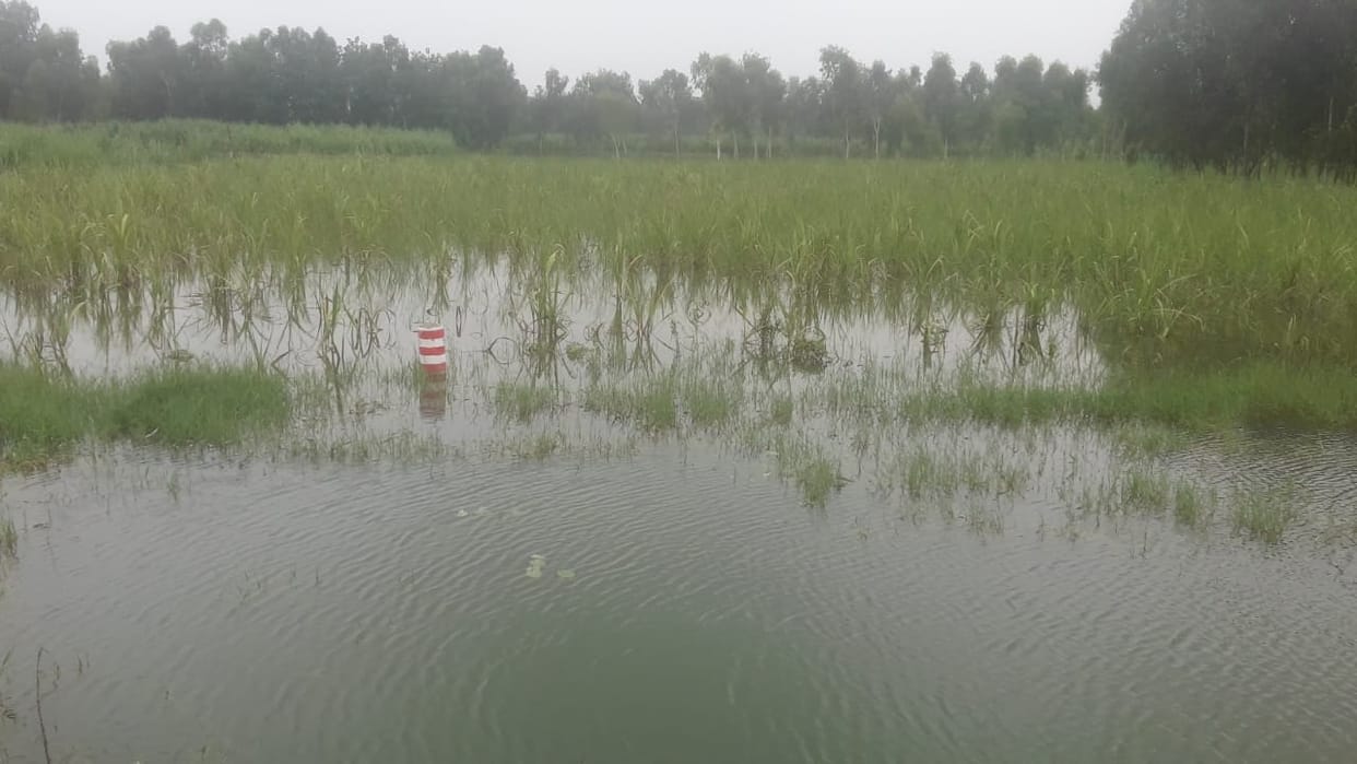 Ganga's water level decreased by 20 cm but the troubles did not decrease