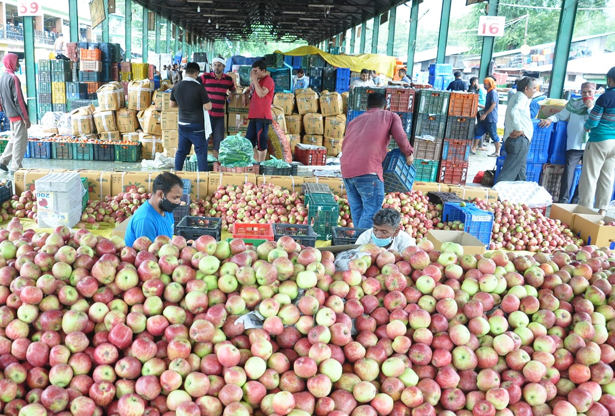 Anger among gardeners for not getting fair price for apples, There is a business of 1000 crores in the district, loss to the government due to low rate Like Jammu and Kashmir, demand to buy apples on the lines of MSP in Himachal