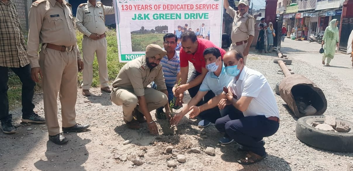 Plantation drive
