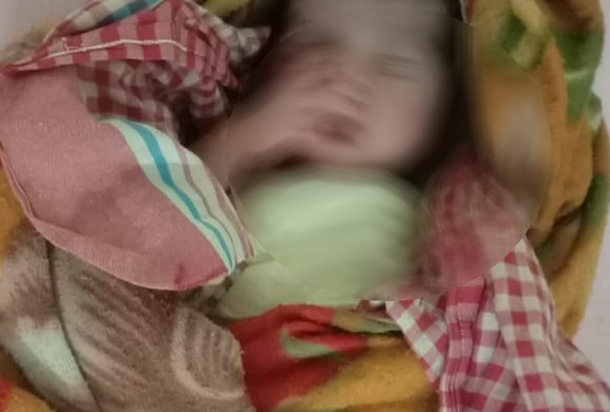 New born found in bushes, admitted in hospital