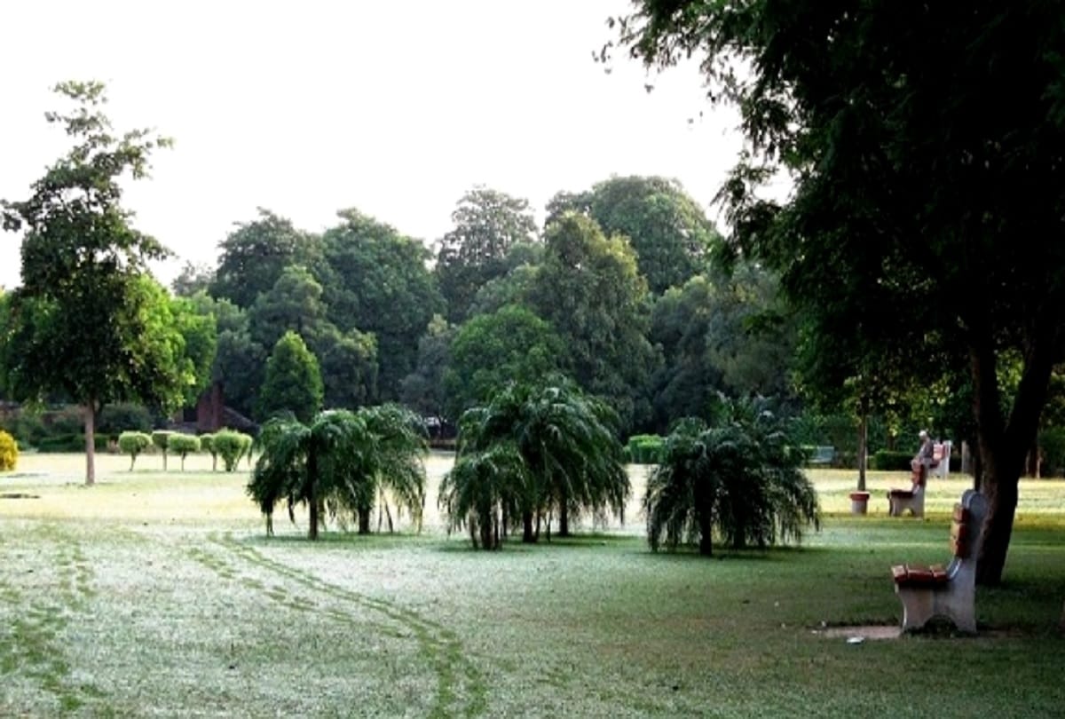 kejriwal government will make delhi a city of gardens seeks suggestions from citizens